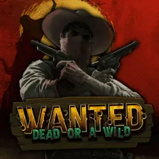 Wanted Dead or a Wild — играть онлайн в казино Mellstroy